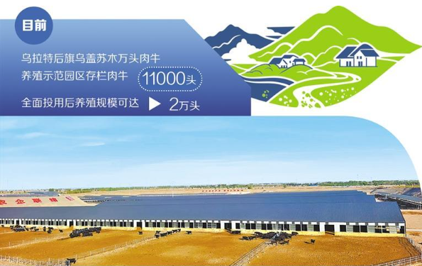 廢棄砂坑變身現(xiàn)代牧場