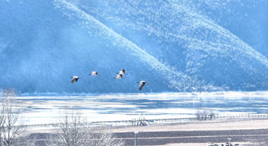 雲(yún)南普達(dá)措冬日限定美景已上線